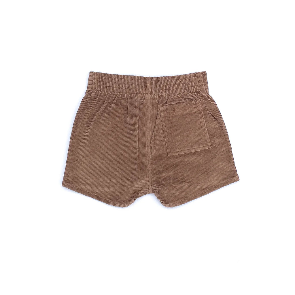 Corduroy Shorts in Brown